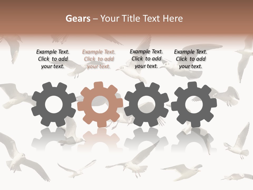Motion Closeup Wingspread PowerPoint Template