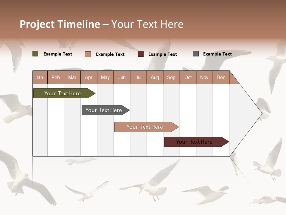 Motion Closeup Wingspread PowerPoint Template