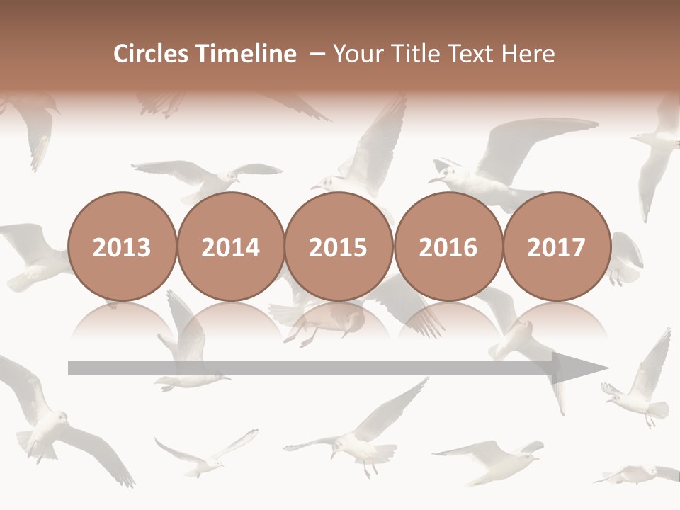 Motion Closeup Wingspread PowerPoint Template