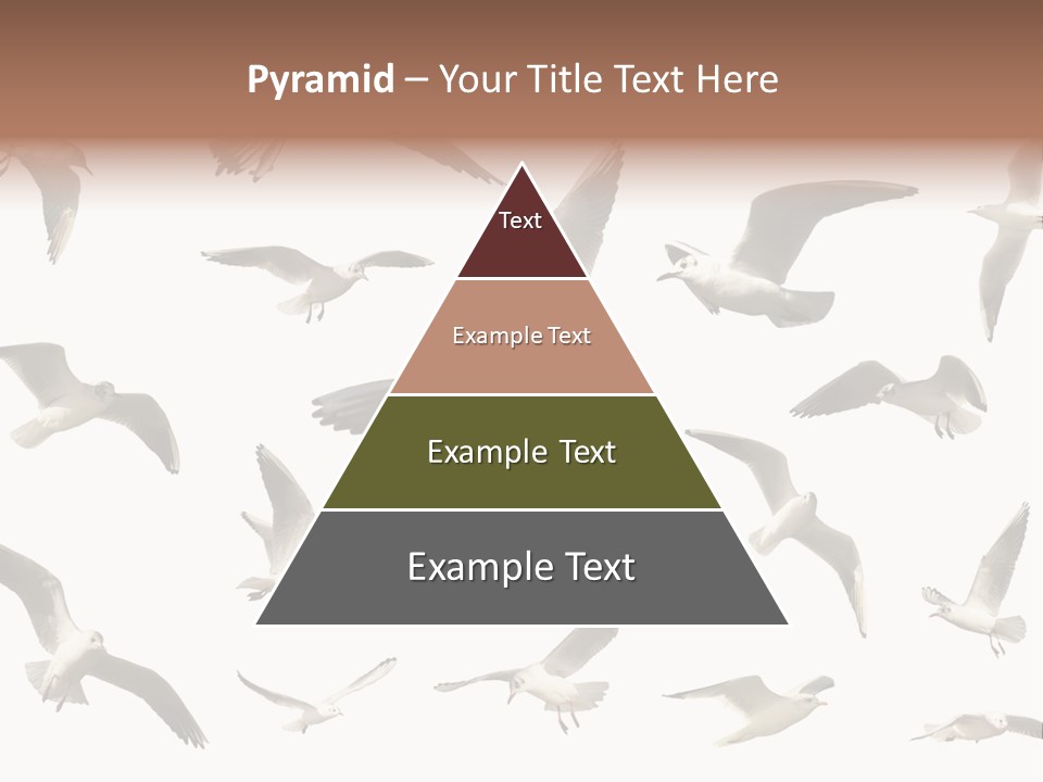 Motion Closeup Wingspread PowerPoint Template