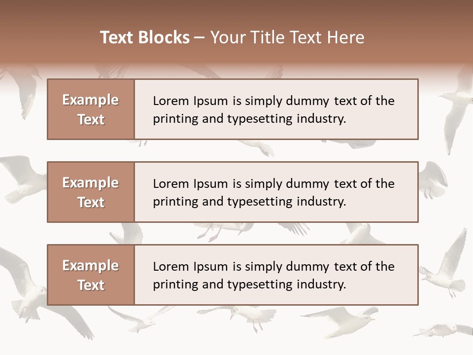 Motion Closeup Wingspread PowerPoint Template