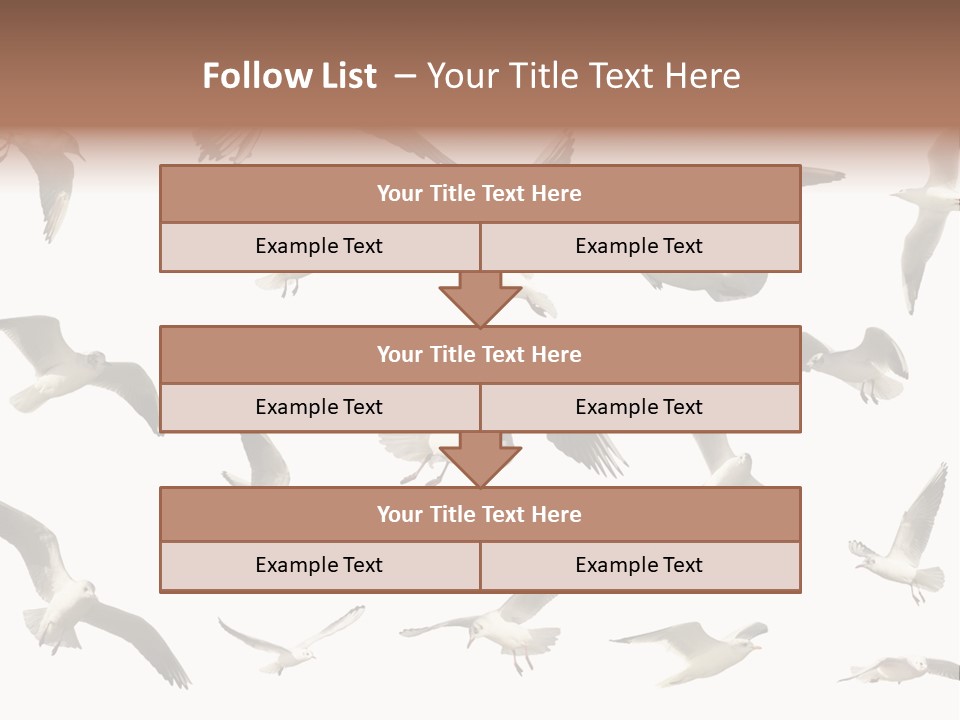 Motion Closeup Wingspread PowerPoint Template
