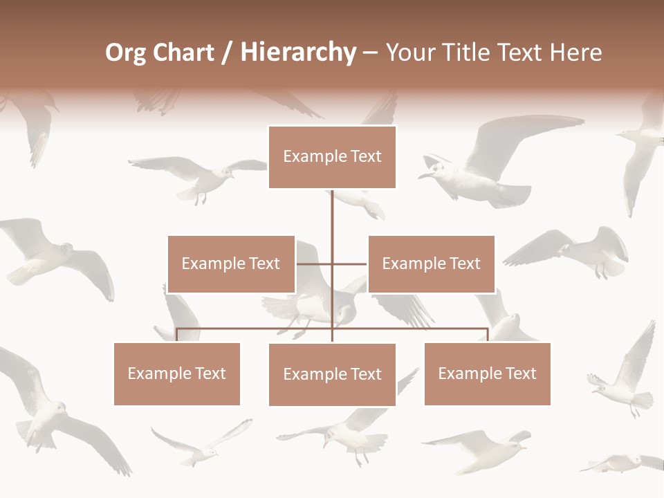 Motion Closeup Wingspread PowerPoint Template