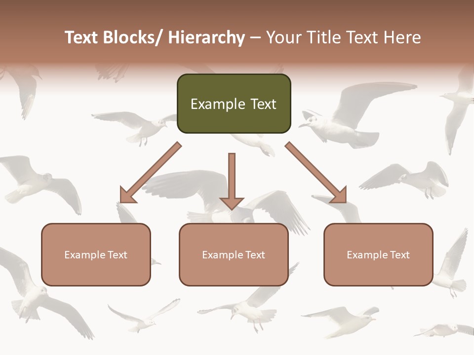 Motion Closeup Wingspread PowerPoint Template