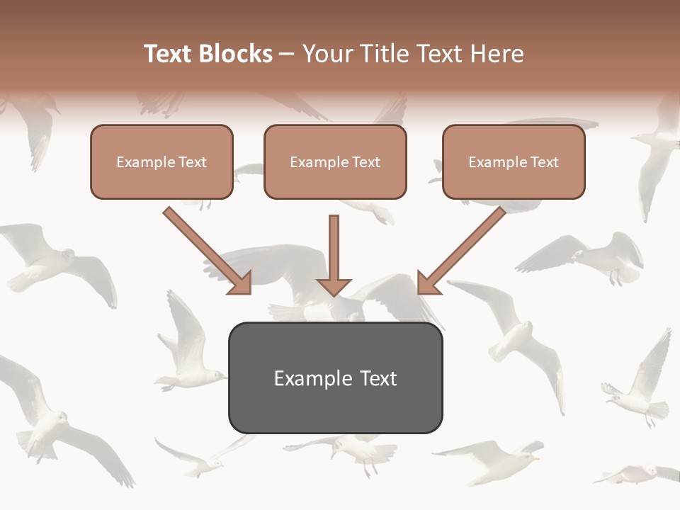 Motion Closeup Wingspread PowerPoint Template