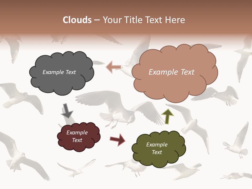 Motion Closeup Wingspread PowerPoint Template