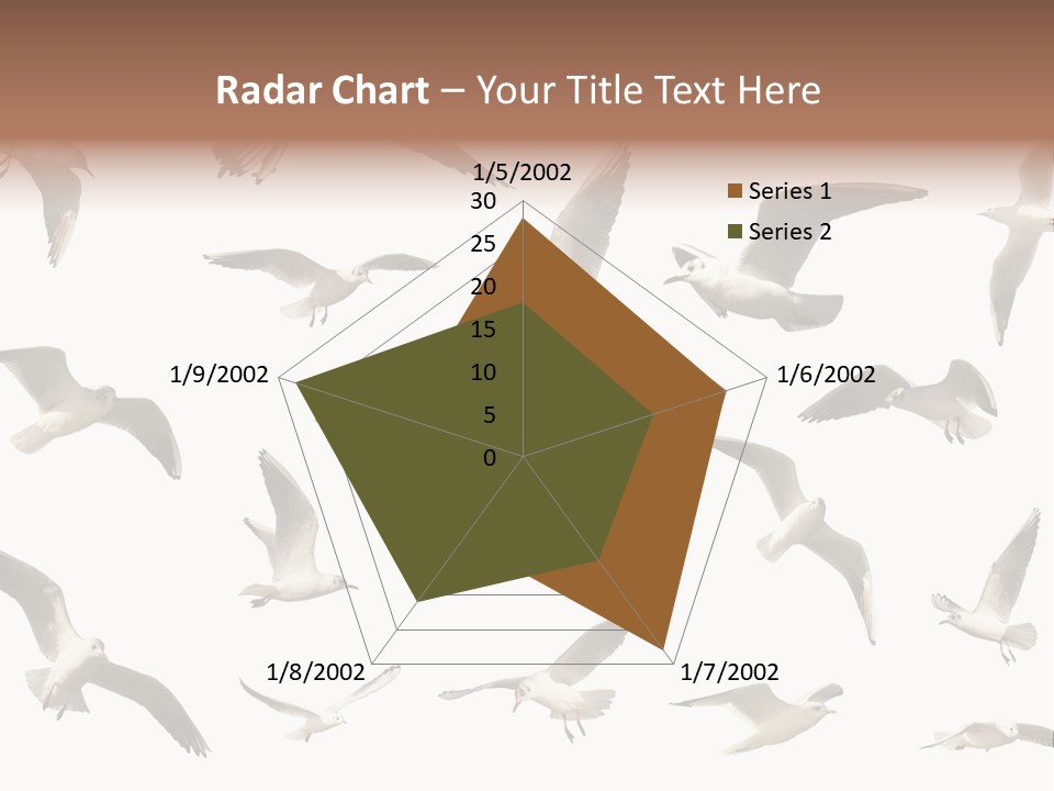 Motion Closeup Wingspread PowerPoint Template
