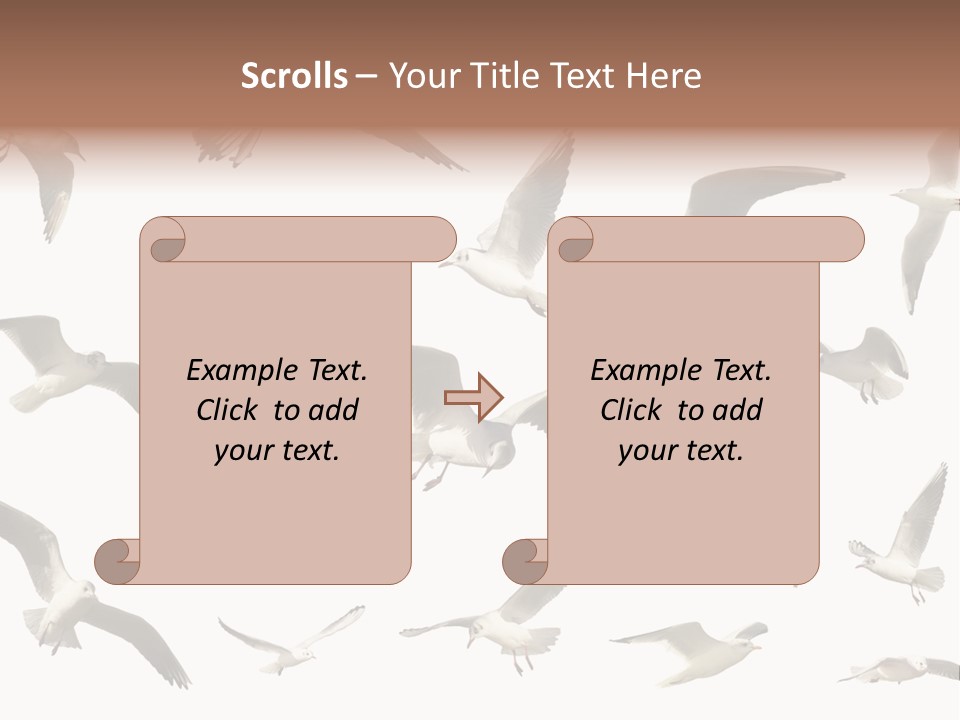 Motion Closeup Wingspread PowerPoint Template