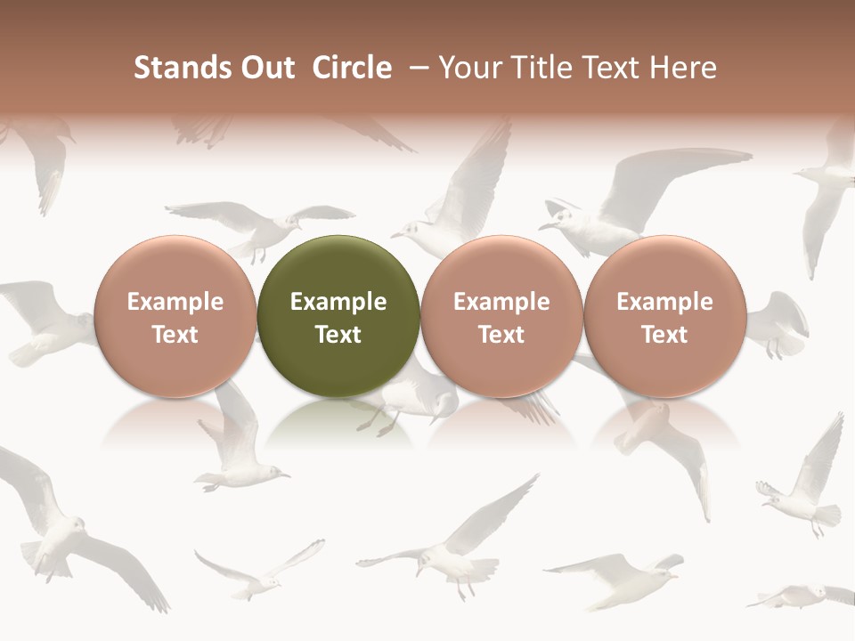 Motion Closeup Wingspread PowerPoint Template