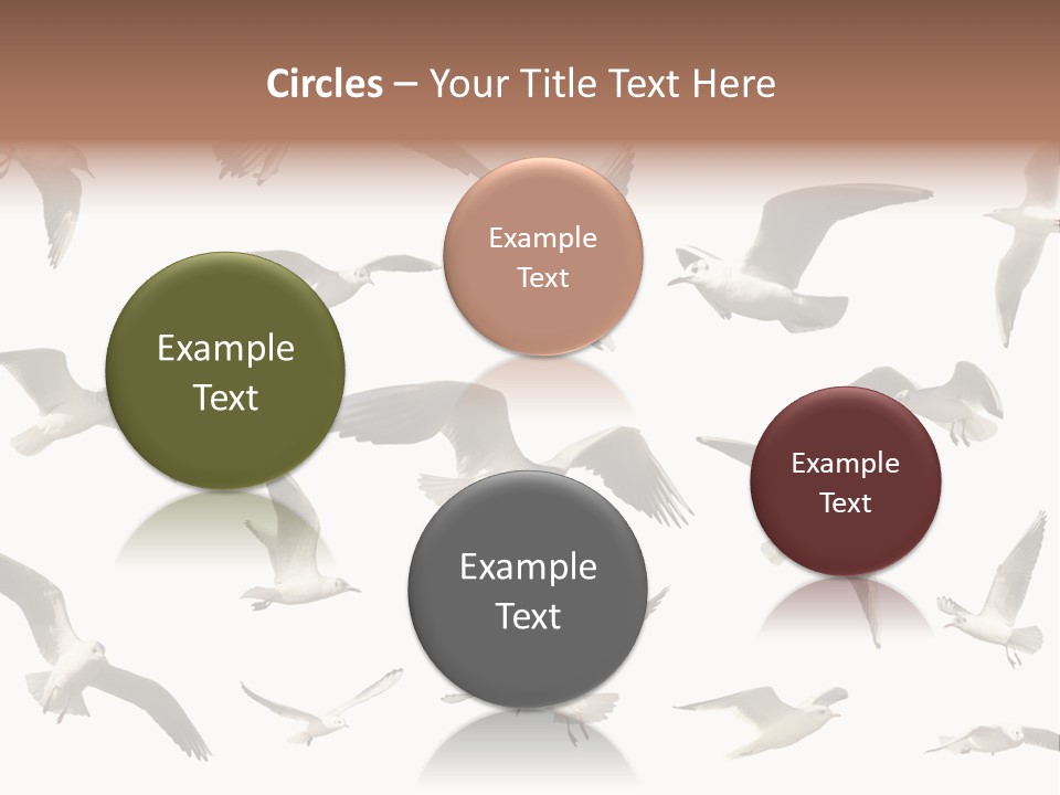 Motion Closeup Wingspread PowerPoint Template