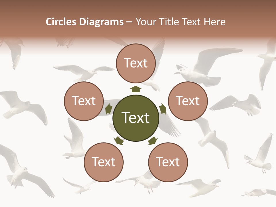 Motion Closeup Wingspread PowerPoint Template