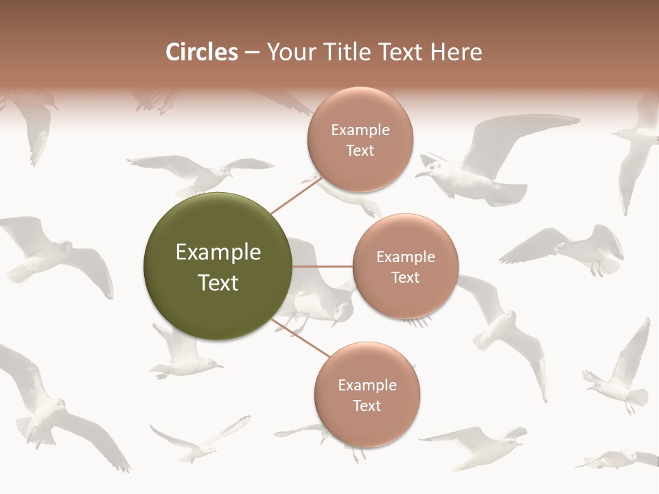 Motion Closeup Wingspread PowerPoint Template