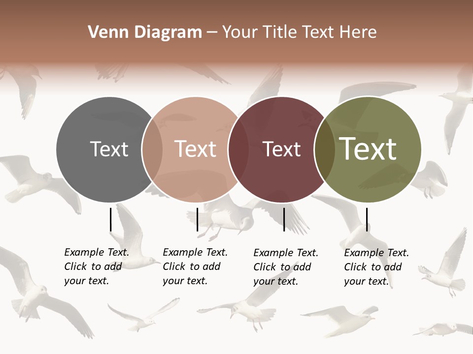 Motion Closeup Wingspread PowerPoint Template