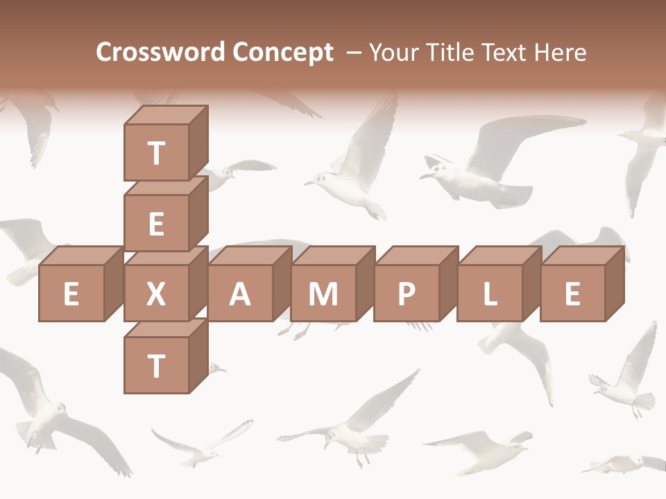 Motion Closeup Wingspread PowerPoint Template
