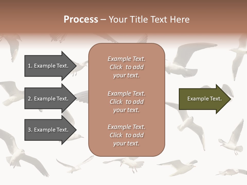 Motion Closeup Wingspread PowerPoint Template