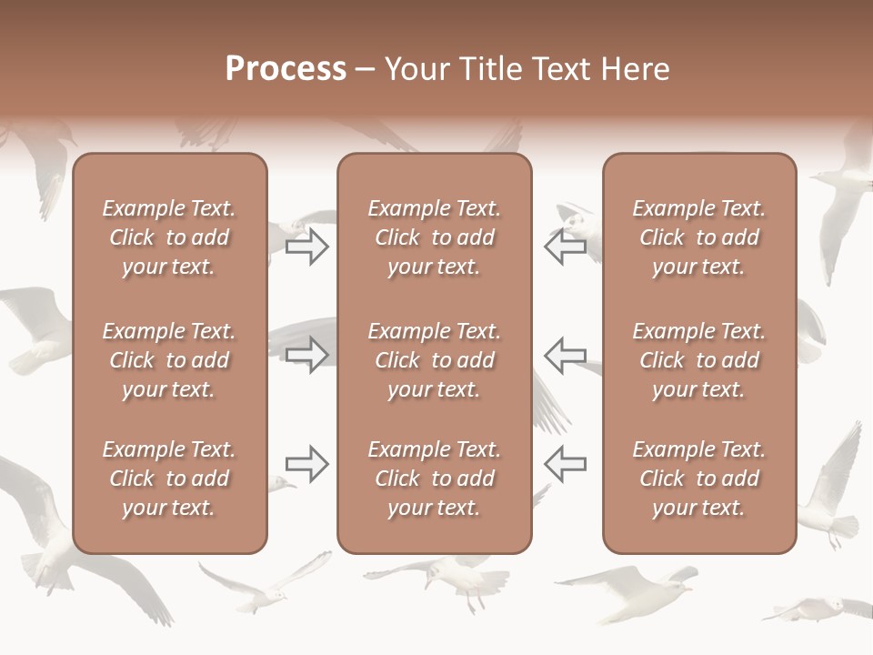 Motion Closeup Wingspread PowerPoint Template