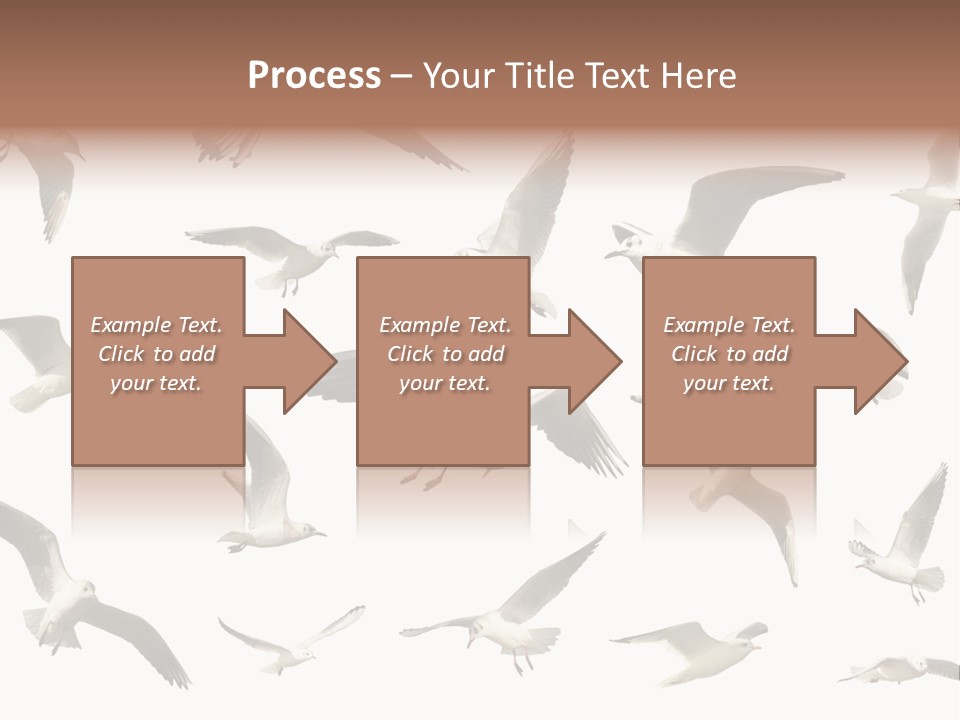 Motion Closeup Wingspread PowerPoint Template