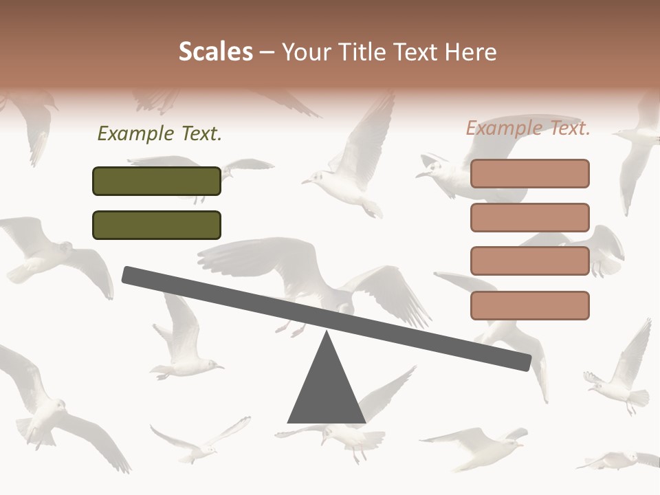 Motion Closeup Wingspread PowerPoint Template