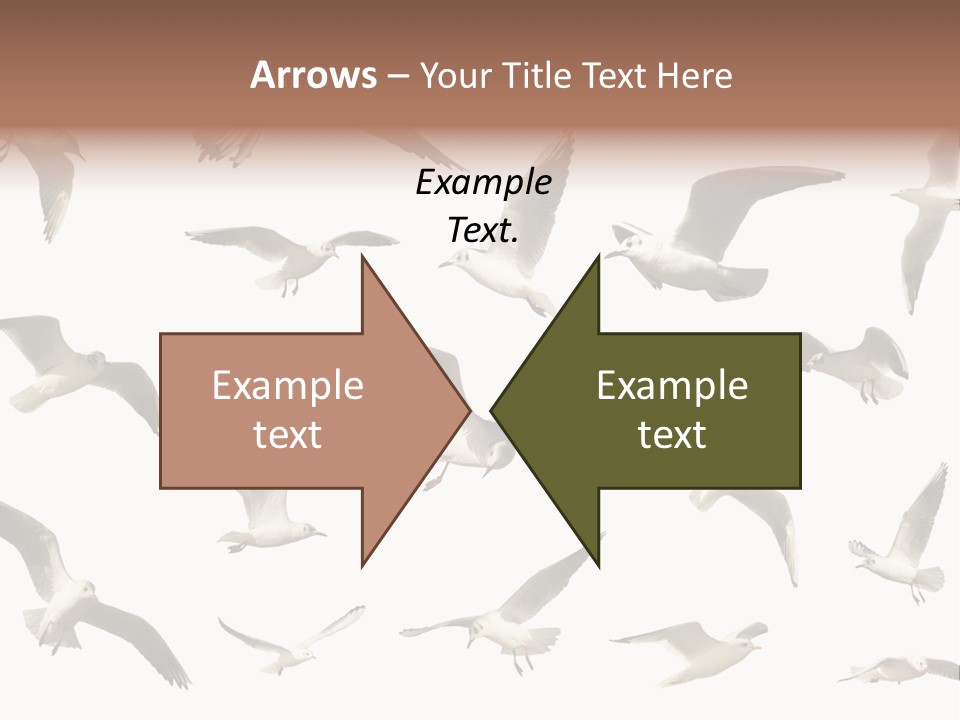 Motion Closeup Wingspread PowerPoint Template