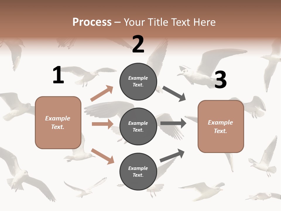 Motion Closeup Wingspread PowerPoint Template