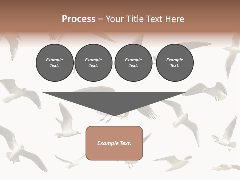 Motion Closeup Wingspread PowerPoint Template