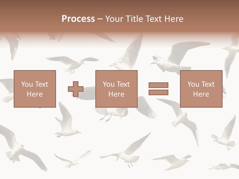 Motion Closeup Wingspread PowerPoint Template