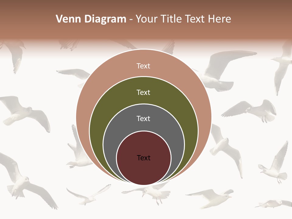 Motion Closeup Wingspread PowerPoint Template