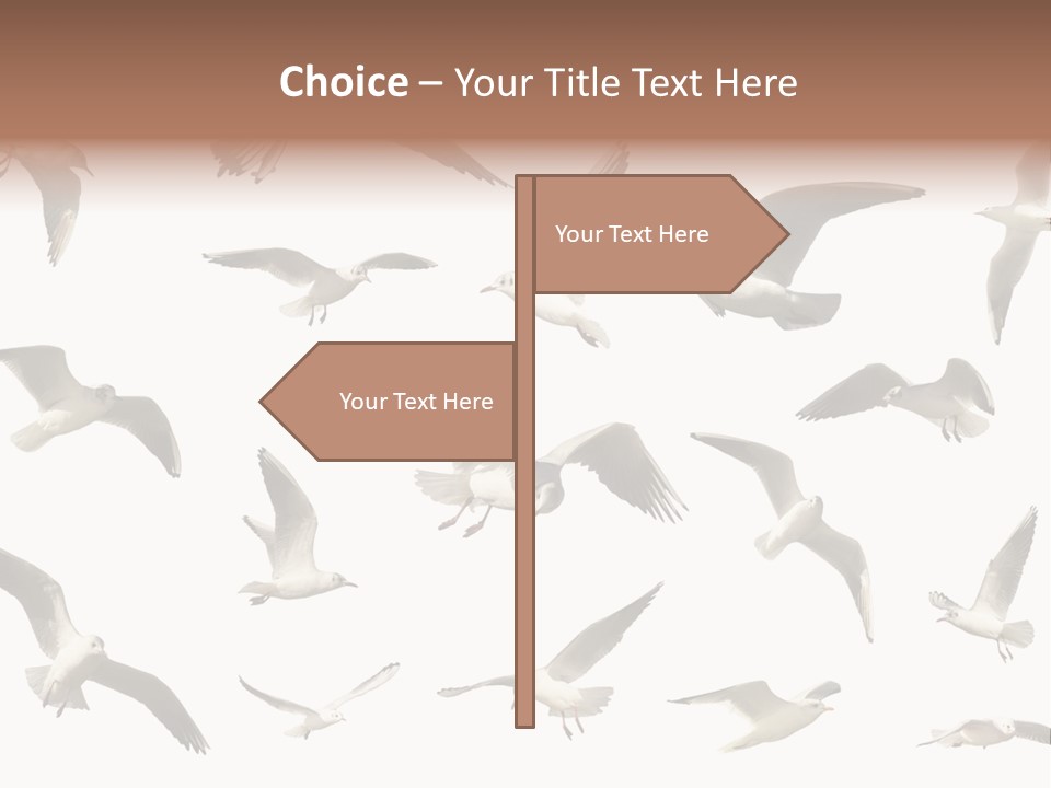 Motion Closeup Wingspread PowerPoint Template