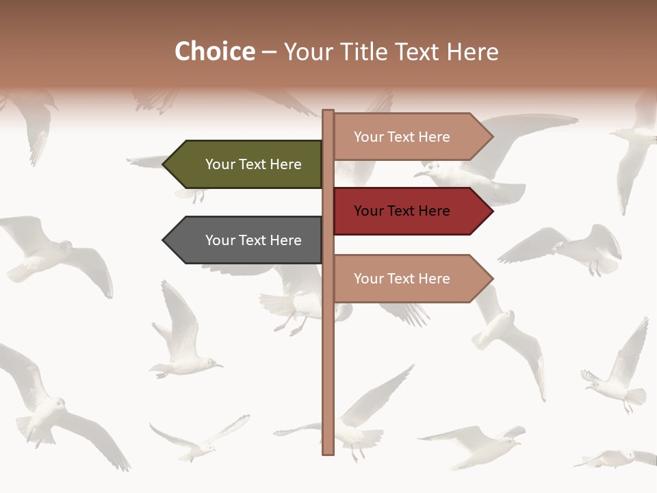 Motion Closeup Wingspread PowerPoint Template