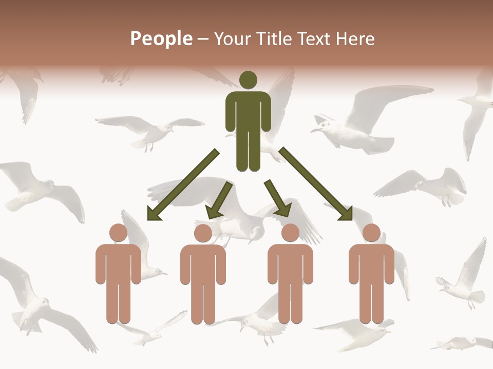 Motion Closeup Wingspread PowerPoint Template