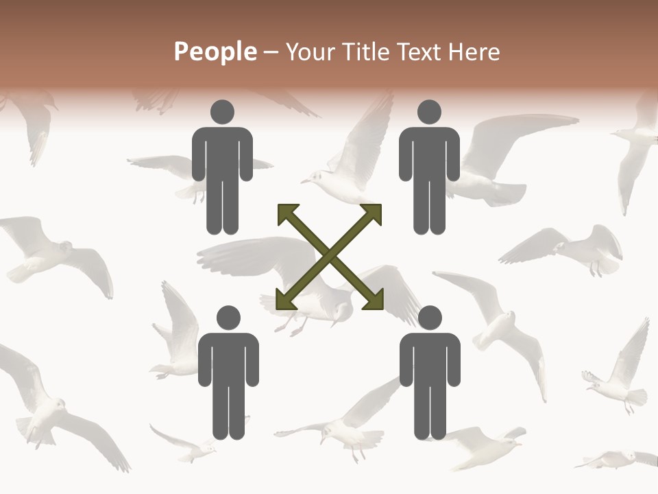 Motion Closeup Wingspread PowerPoint Template