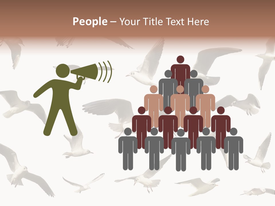 Motion Closeup Wingspread PowerPoint Template