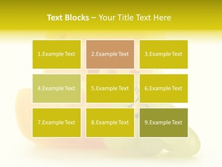 White Slice Appetizer PowerPoint Template
