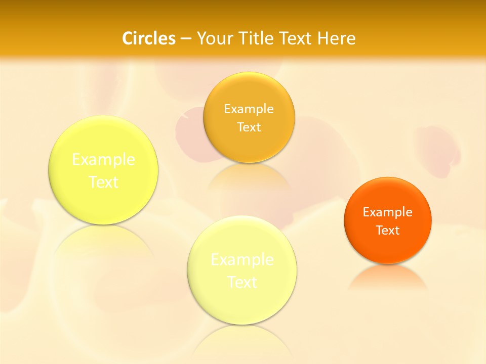 Piece Edam Grocery PowerPoint Template