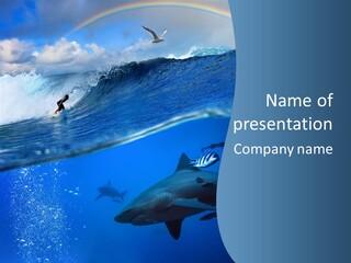 Breaking Shark Spray PowerPoint Template