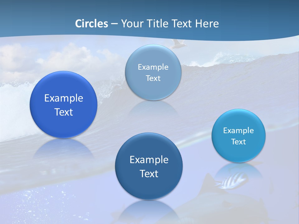 Breaking Shark Spray PowerPoint Template