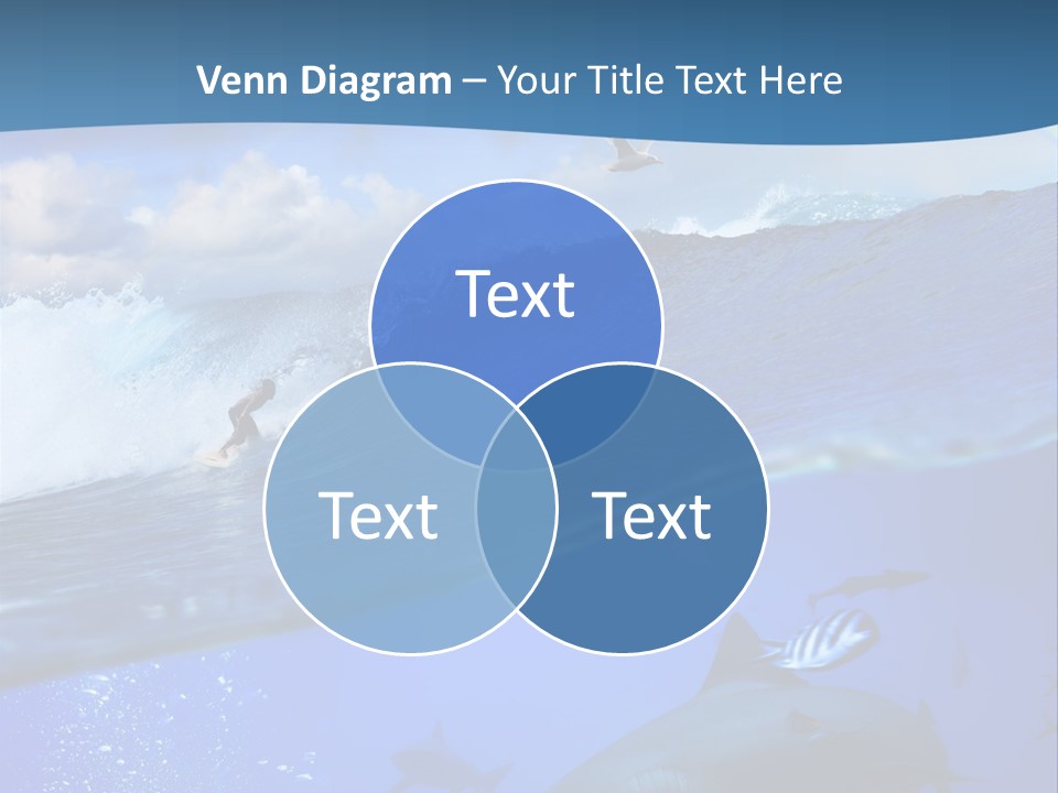 Breaking Shark Spray PowerPoint Template