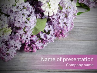 Brush Day Summer PowerPoint Template