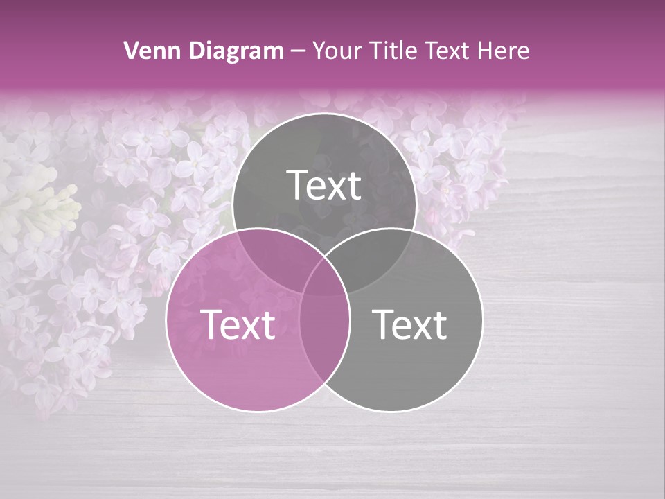 Brush Day Summer PowerPoint Template