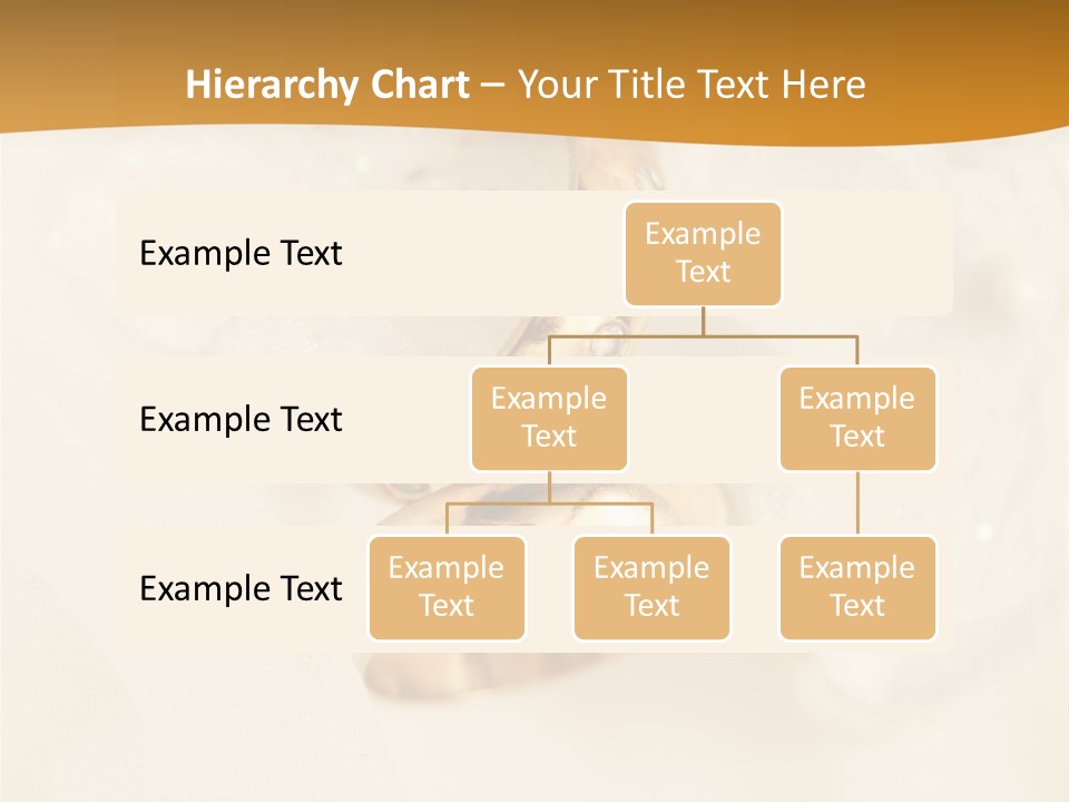 Two White Closeup PowerPoint Template