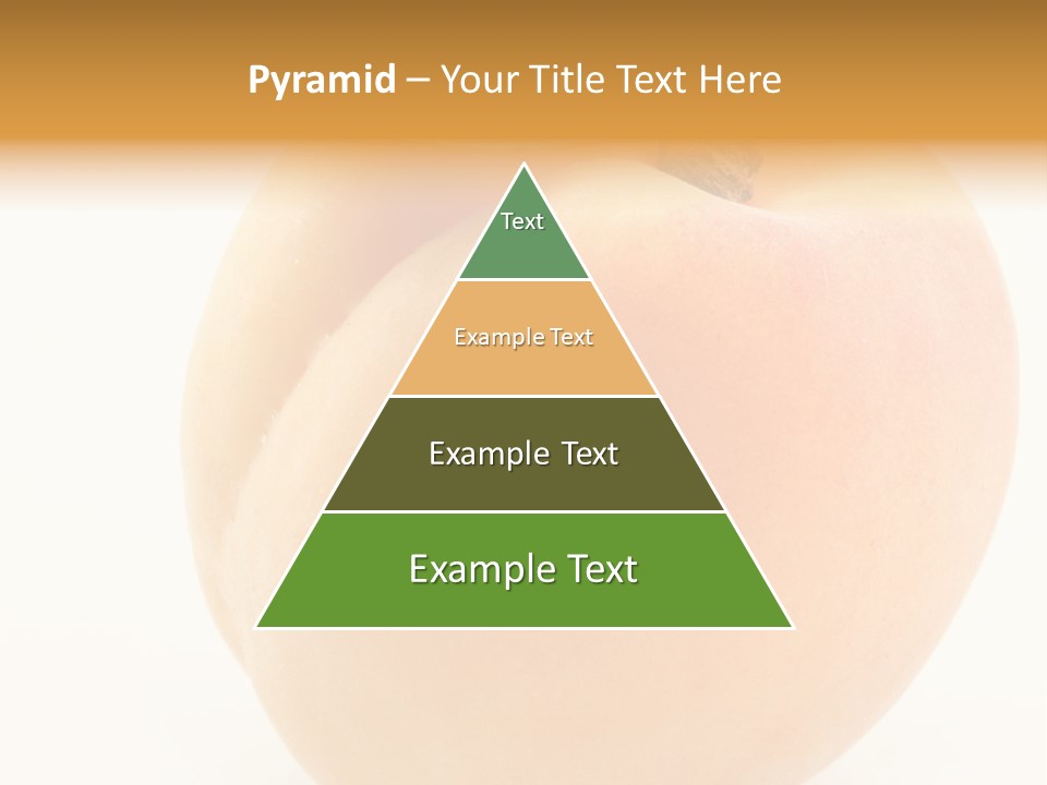 Simplicity Clean Lifestyle PowerPoint Template