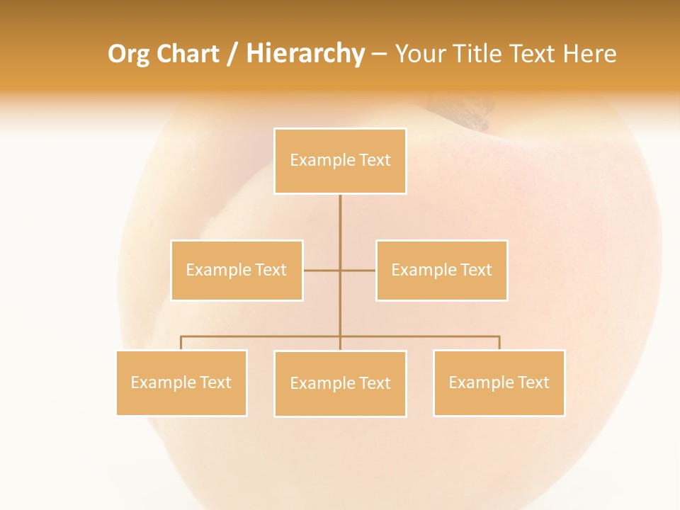 Simplicity Clean Lifestyle PowerPoint Template