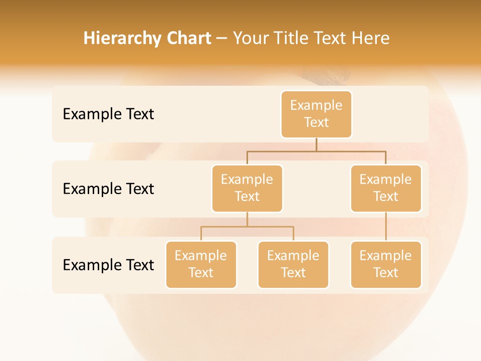 Simplicity Clean Lifestyle PowerPoint Template