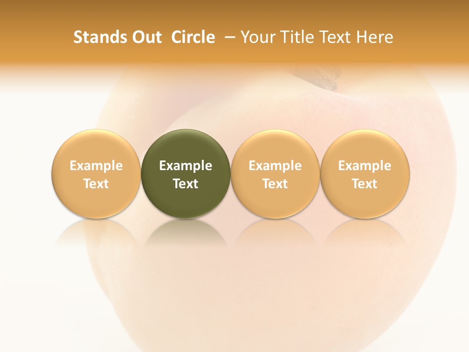 Simplicity Clean Lifestyle PowerPoint Template