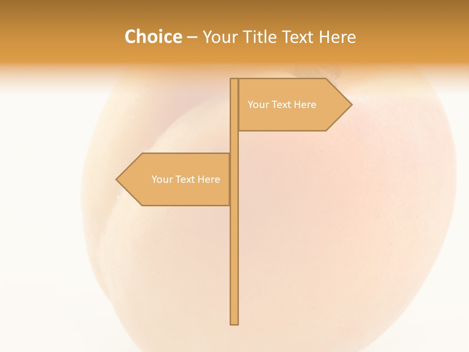 Simplicity Clean Lifestyle PowerPoint Template
