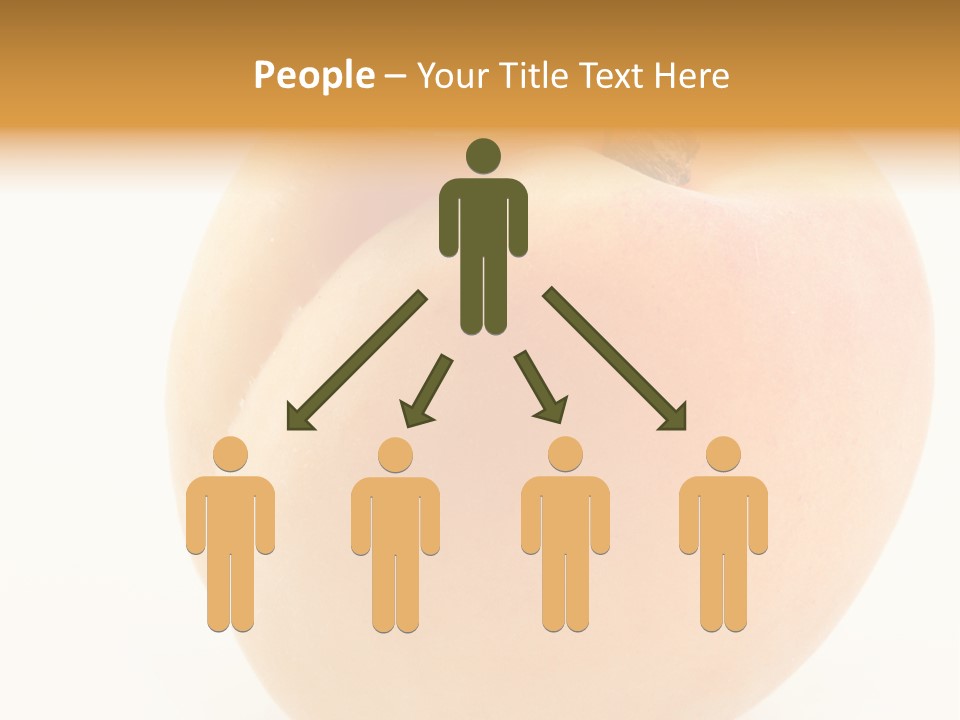 Simplicity Clean Lifestyle PowerPoint Template