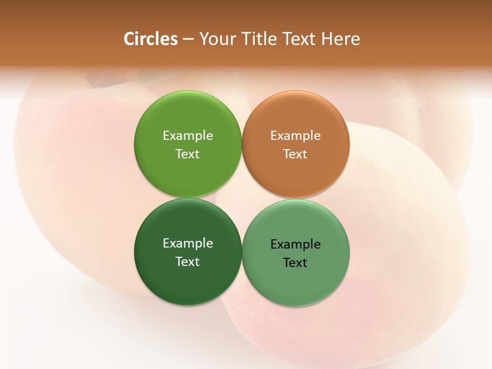 Isolated Nature Clean PowerPoint Template