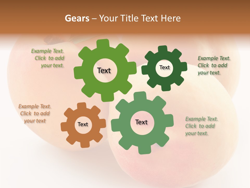 Isolated Nature Clean PowerPoint Template