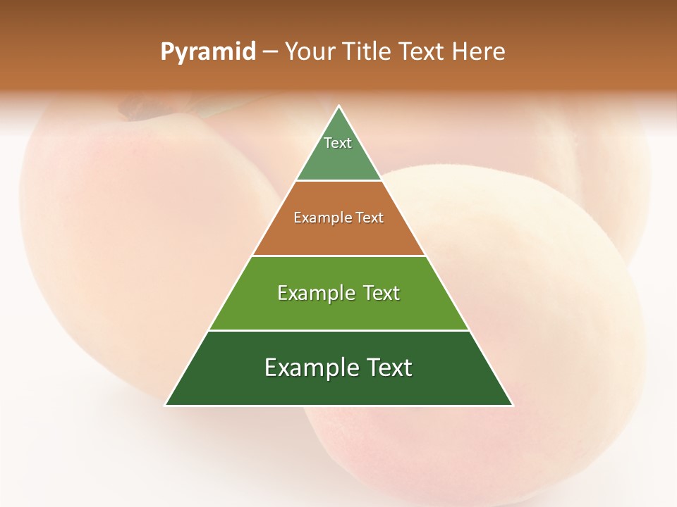 Isolated Nature Clean PowerPoint Template