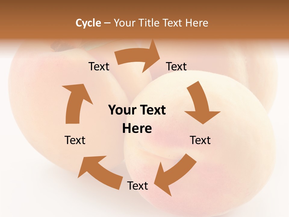 Isolated Nature Clean PowerPoint Template